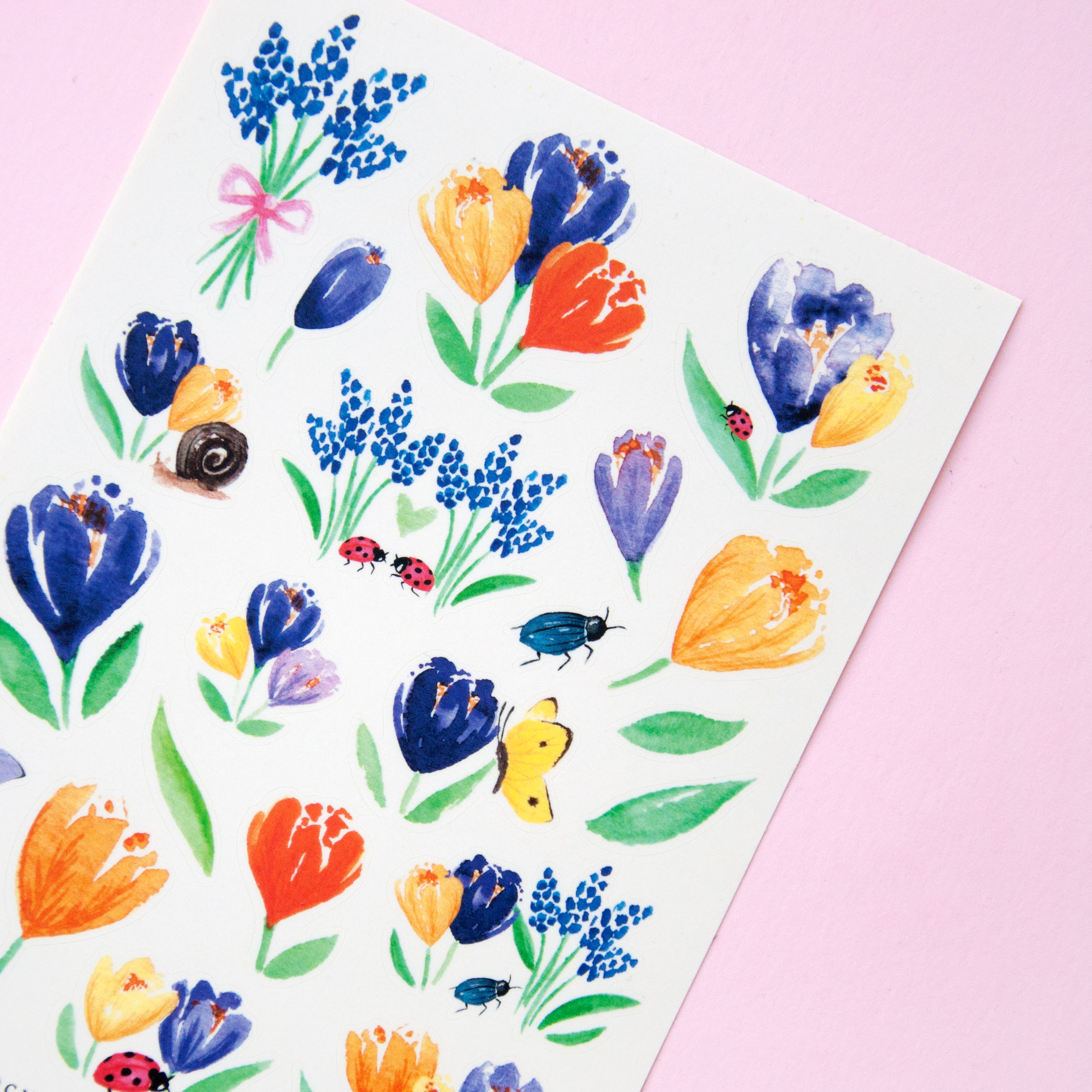Crocus Flower Garden Stickers - Design by Willwa