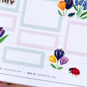 Spring colored Box Stickers - Design by Willwa